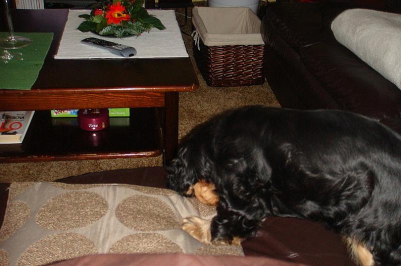 Art_25.1.2010 (2).JPG